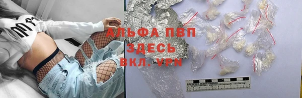 индика Корсаков
