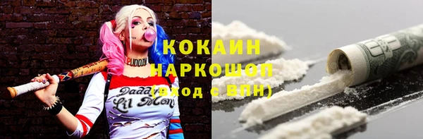 индика Корсаков
