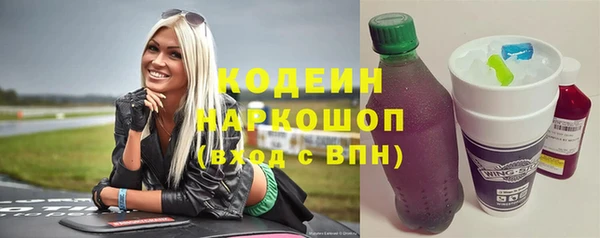 индика Корсаков