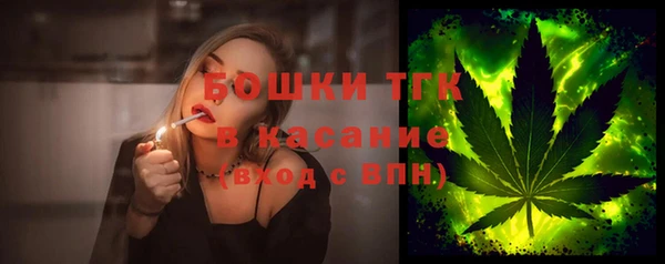 индика Корсаков