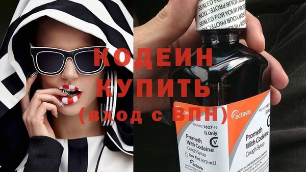 индика Корсаков