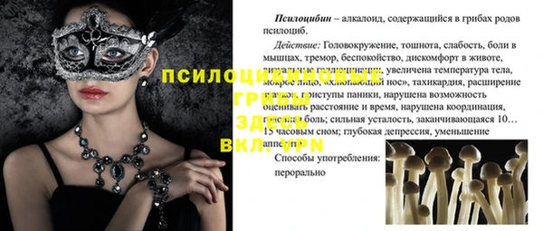 синтетический гашиш Коряжма