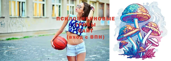 индика Корсаков