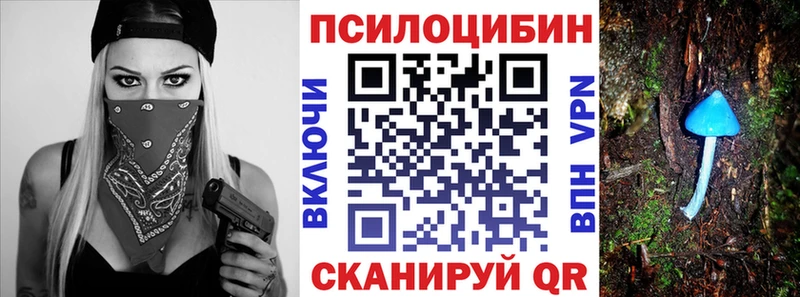 Купить закладки  Североморск  Галлюциногенные грибы прущие грибы 